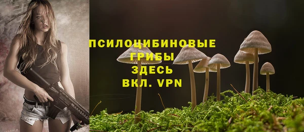 не бодяженный Абаза