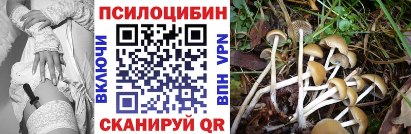 omg tor  Отрадное  Галлюциногенные грибы прущие грибы  закладка 